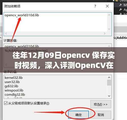 飞来横祸 第2页