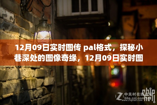 劳燕分飞 第4页