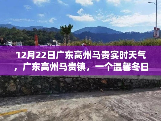 广东高州马贵镇的温馨冬日,趣事与友情的交织,实时天气播报