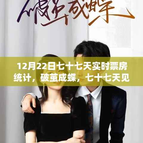 见证变化的力量,七十七天实时票房统计启示