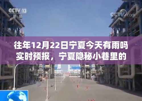 宁夏隐秘小巷诗意小店,雨中之韵与味蕾奇遇的探寻实时预报