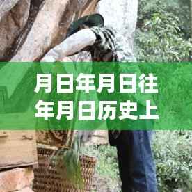 张皇铺饰 第2页