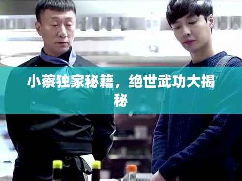 小蔡独家秘籍,绝世武功大揭秘