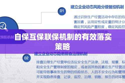 自保互保联保机制的有效落实策略