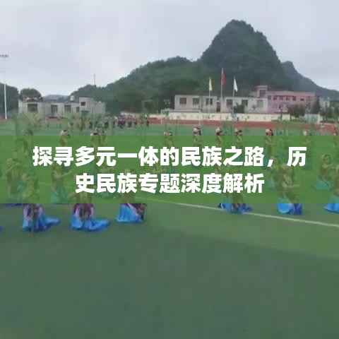 探寻多元一体的民族之路,历史民族专题深度解析