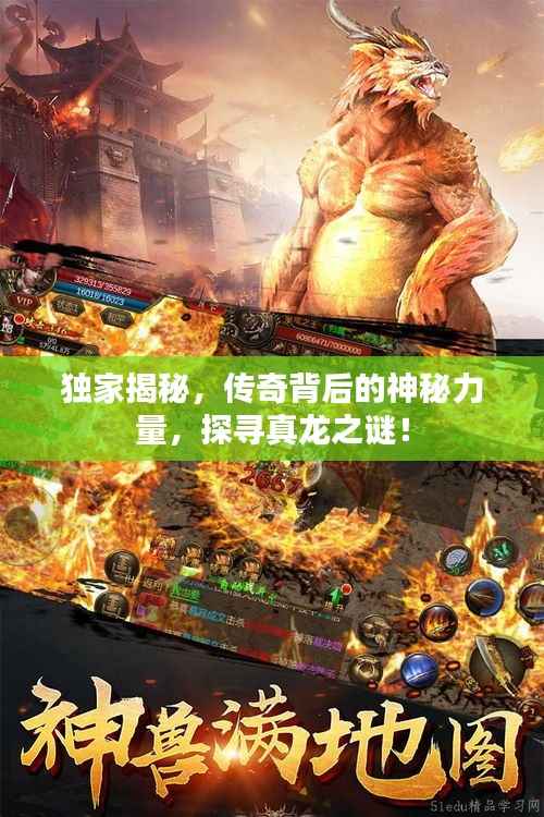 荡然无存 第2页