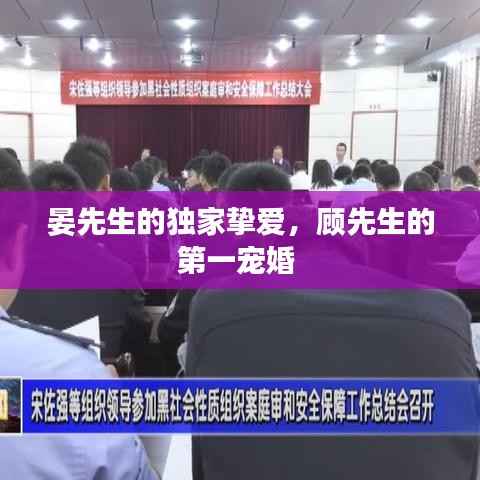 晏先生的独家挚爱，顾先生的第一宠婚 