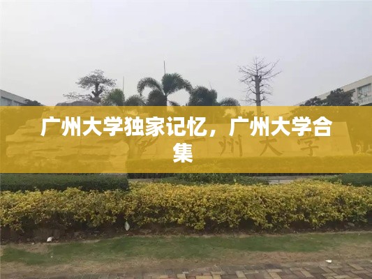广州大学独家记忆，广州大学合集 