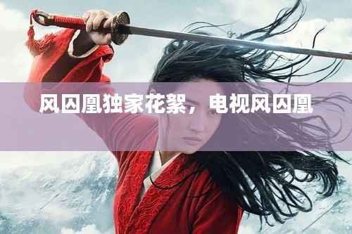 风囚凰独家花絮,电视风囚凰