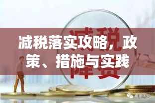 减税落实攻略,政策、措施与实践并行