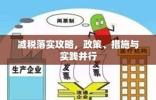 减税落实攻略,政策、措施与实践并行