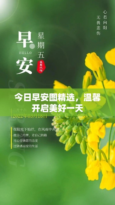 量入为出 第2页