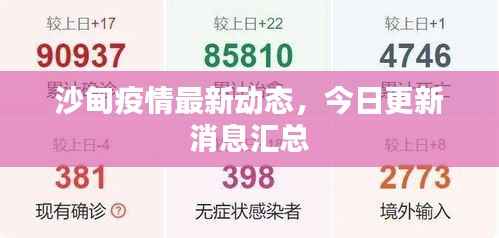 营销网络 第163页