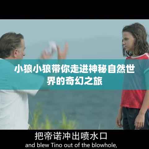 明目张胆 第2页