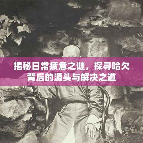 揭秘日常疲惫之谜,探寻哈欠背后的源头与解决之道