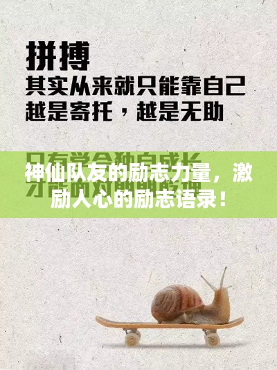 神仙队友的励志力量,激励人心的励志语录!