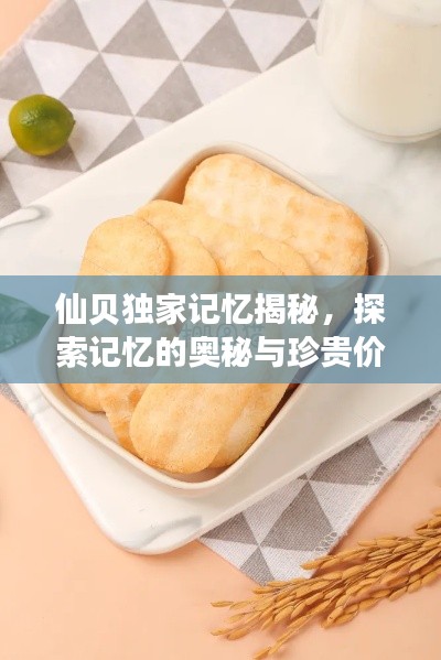 仙贝独家记忆揭秘,探索记忆的奥秘与珍贵价值