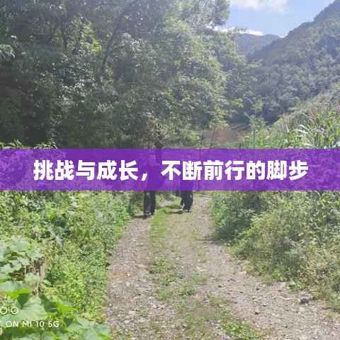 挑战与成长，不断前行的脚步