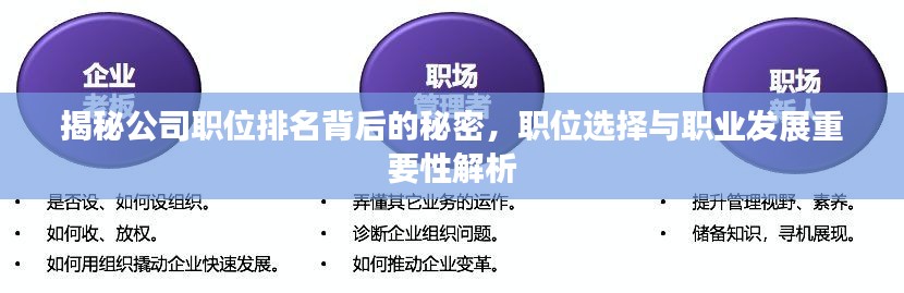揭秘公司职位排名背后的秘密，职位选择与职业发展重要性解析