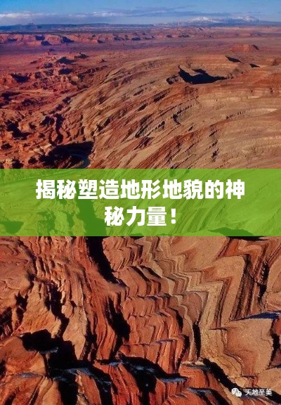 营销网络 第141页