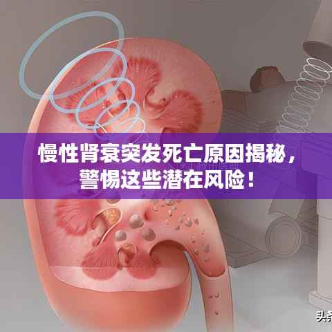 慢性肾衰突发死亡原因揭秘，警惕这些潜在风险！
