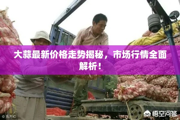 大蒜最新价格走势揭秘,市场行情全面解析!