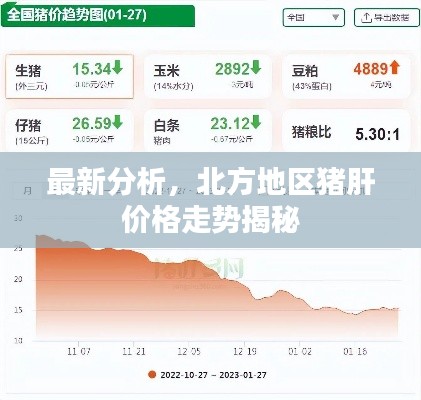 最新分析,北方地区猪肝价格走势揭秘