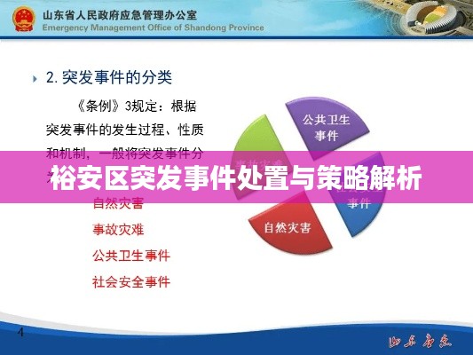 裕安区突发事件处置与策略解析