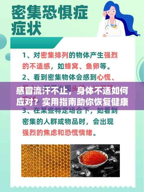感冒流汗不止,身体不适如何应对?实用指南助你恢复健康
