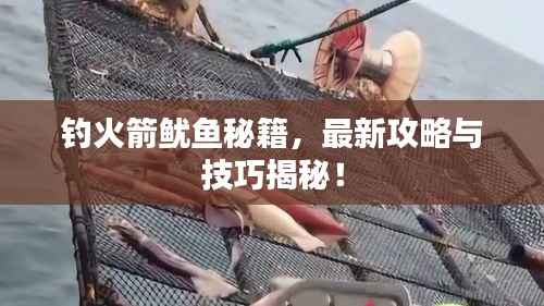 钓火箭鱿鱼秘籍,最新攻略与技巧揭秘!