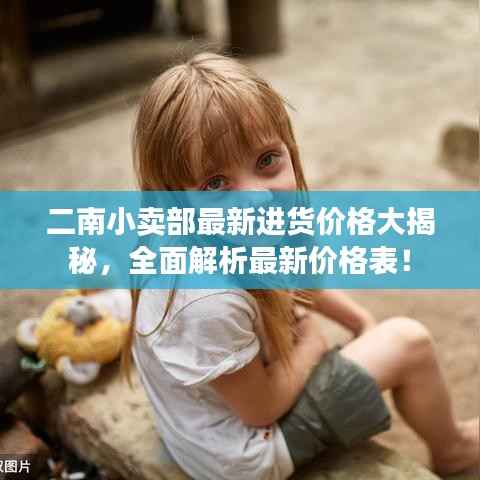 二南小卖部最新进货价格大揭秘,全面解析最新价格表!