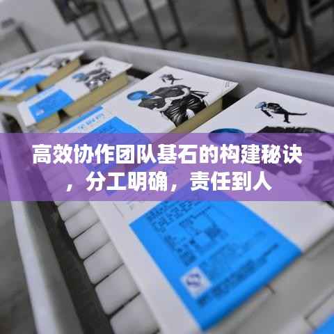 高效协作团队基石的构建秘诀,分工明确,责任到人