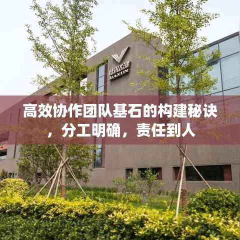 高效协作团队基石的构建秘诀,分工明确,责任到人