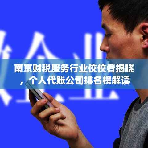 南京财税服务行业佼佼者揭晓,个人代账公司排名榜解读