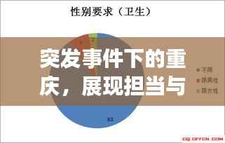 突发事件下的重庆,展现担当与挑战应对之道