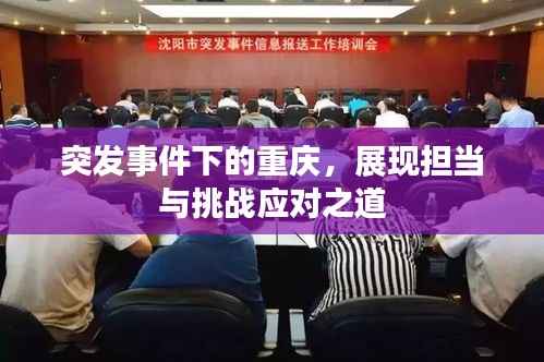 突发事件下的重庆,展现担当与挑战应对之道