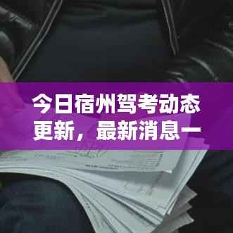 今日宿州驾考动态更新,最新消息一网打尽