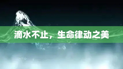 滴水不止,生命律动之美