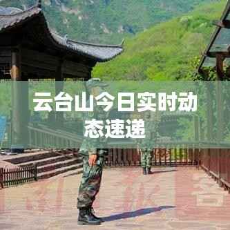 云台山今日实时动态速递