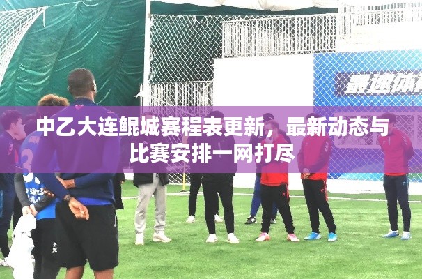 中乙大连鲲城赛程表更新,最新动态与比赛安排一网打尽
