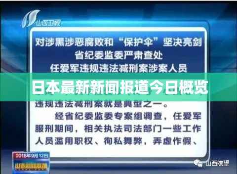 日本最新新闻报道今日概览