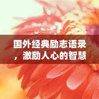 国外经典励志语录，激励人心的智慧语句