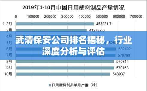 武清保安公司排名揭秘,行业深度分析与评估