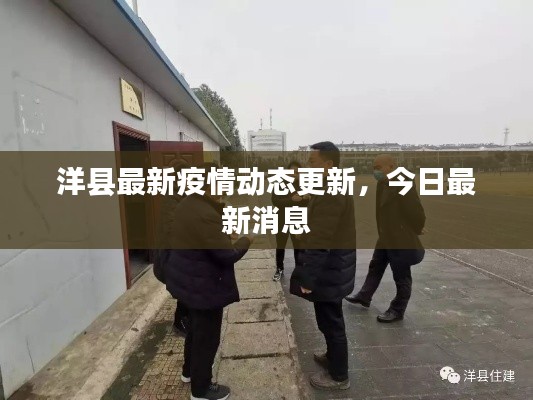 洋县最新疫情动态更新，今日最新消息