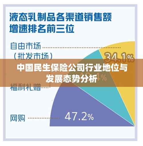中国民生保险公司行业地位与发展态势分析