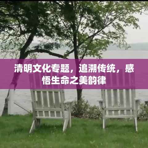 清明文化专题,追溯传统,感悟生命之美韵律