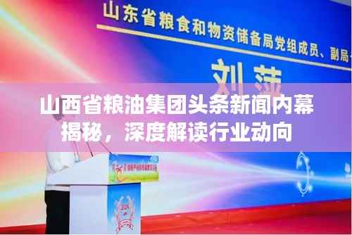 山西省粮油集团头条新闻内幕揭秘,深度解读行业动向