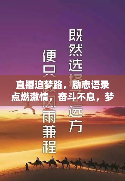直播追梦路，励志语录点燃激情，奋斗不息，梦想不灭