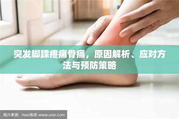 突发脚踝疼痛骨痛,原因解析、应对方法与预防策略