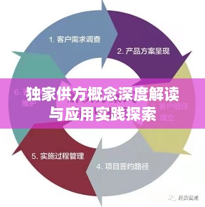 独家供方概念深度解读与应用实践探索
